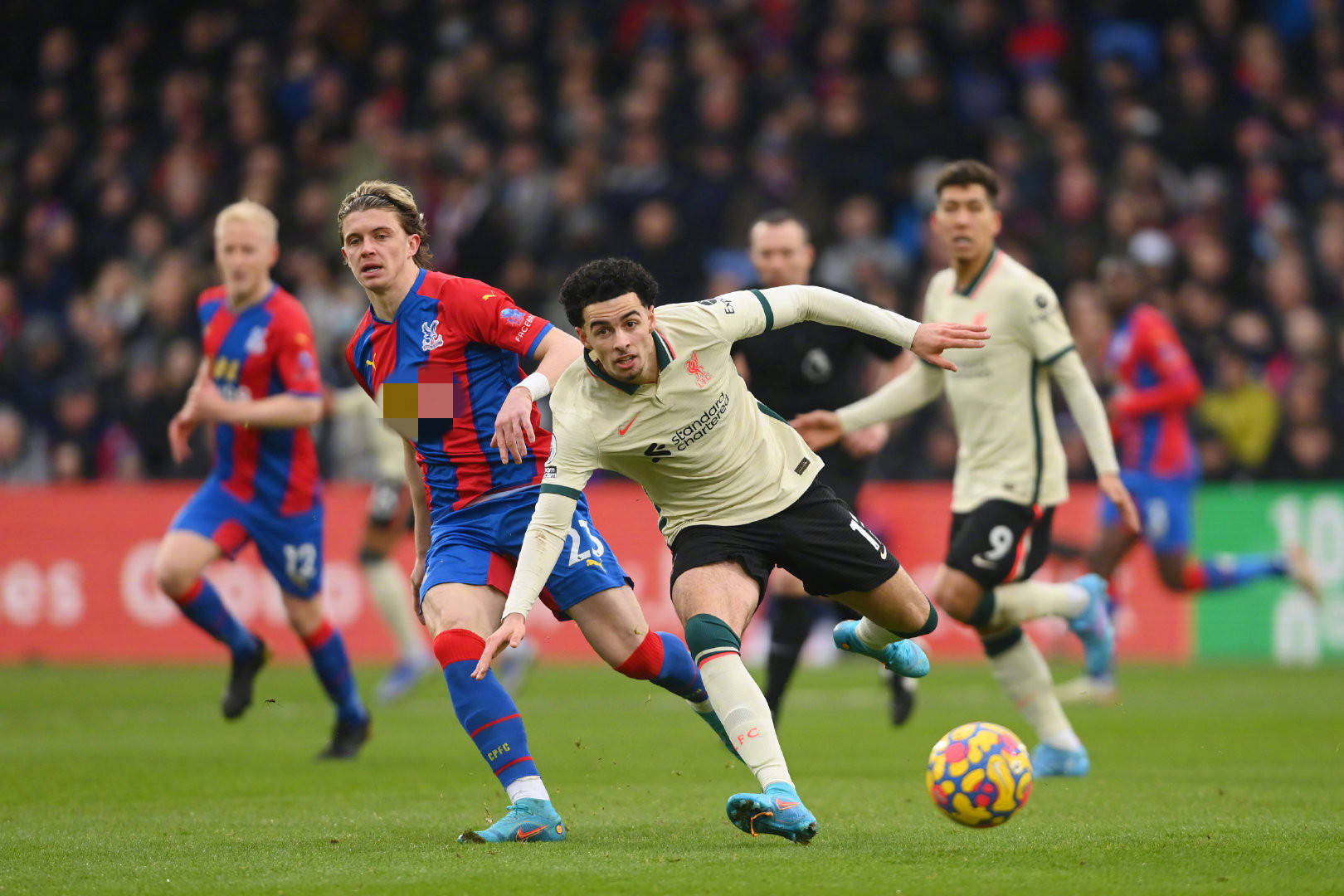 兰对年轻球 兰对年轻球